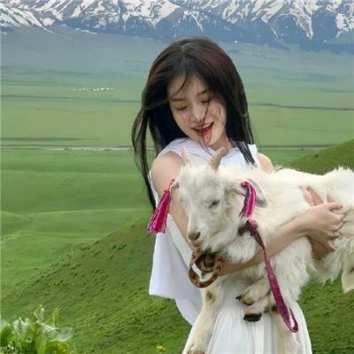 无敌猛鲨